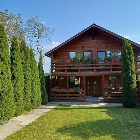 Casa Gherman Ξενοδοχείο Τούρντα Εξωτερικό φωτογραφία