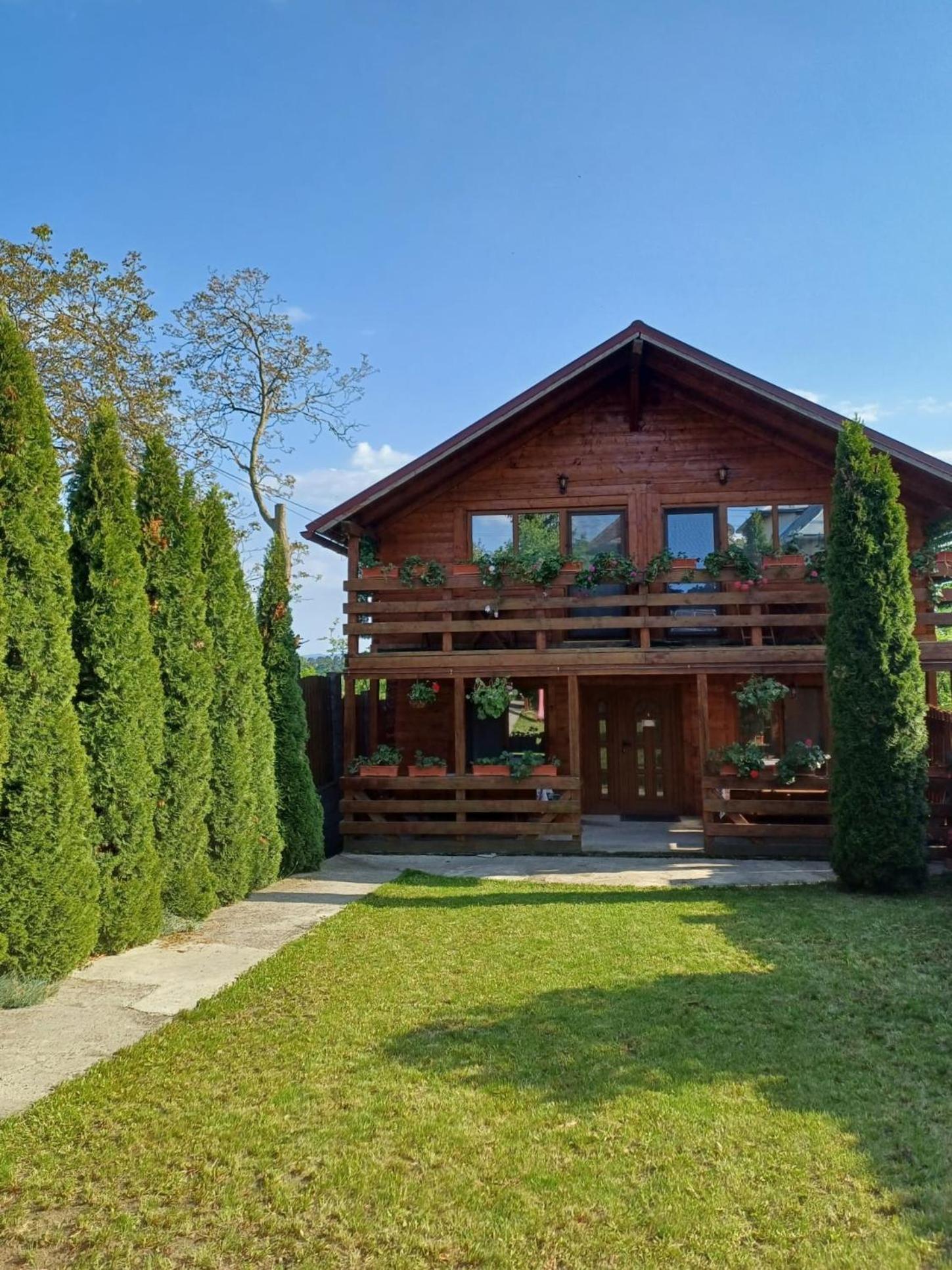 Casa Gherman Ξενοδοχείο Τούρντα Εξωτερικό φωτογραφία