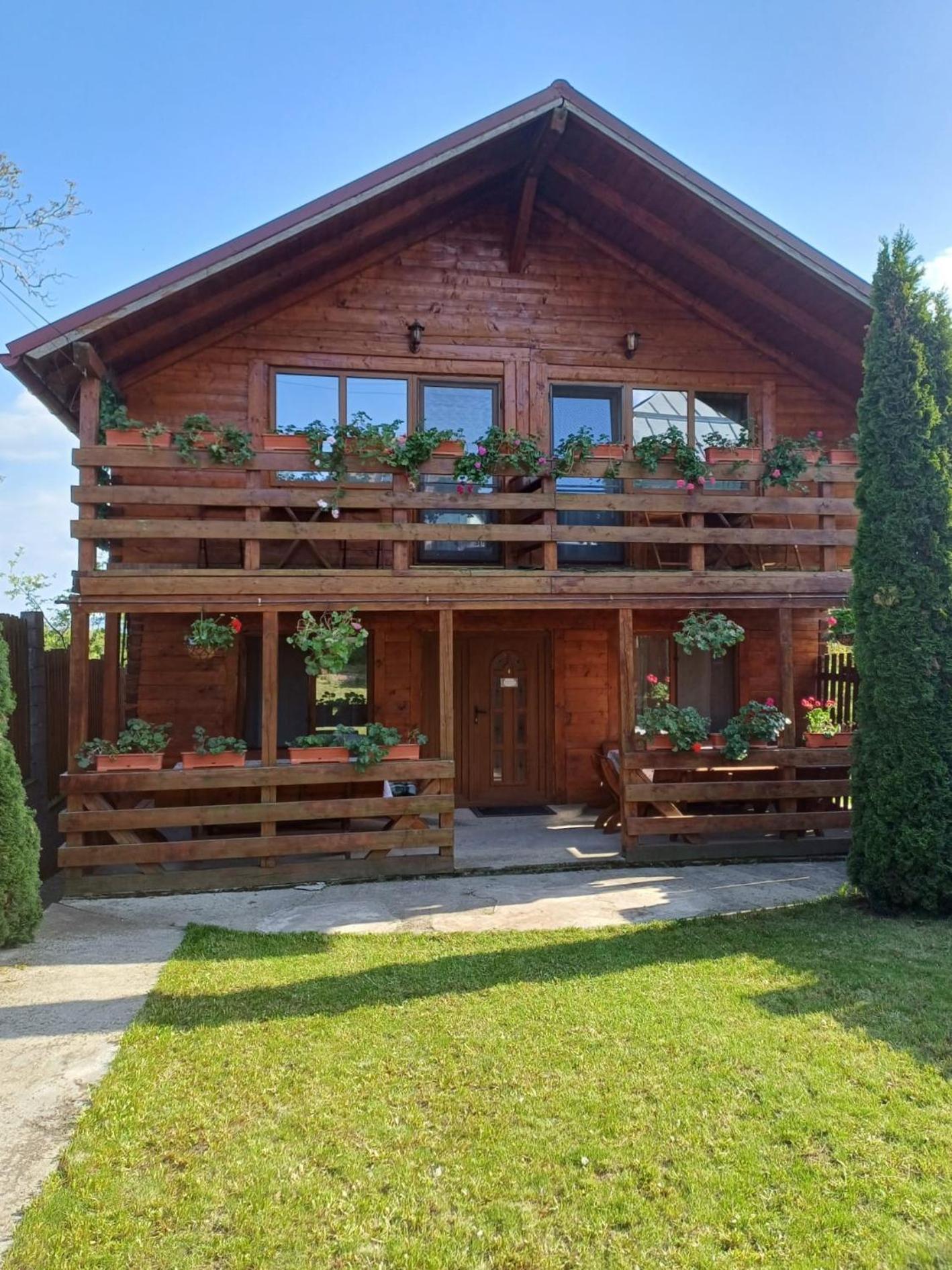 Casa Gherman Ξενοδοχείο Τούρντα Εξωτερικό φωτογραφία